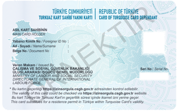 Turkuaz Kart Yakın Arka.png